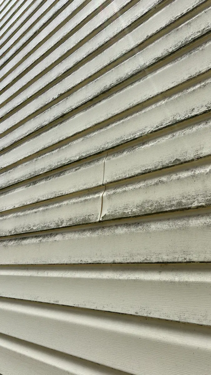 Vinyl siding before softwash - close up